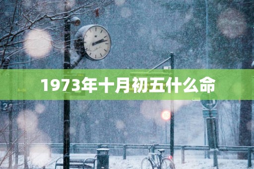 1973年十月初五什么命