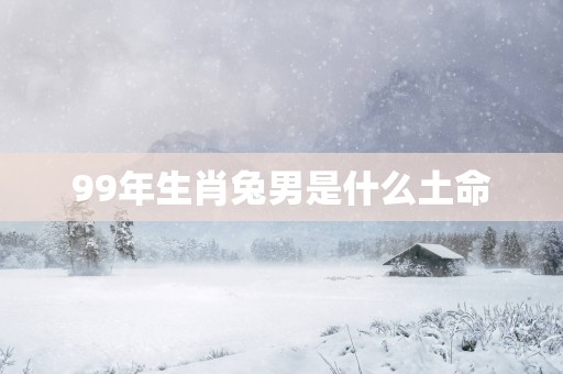 99年生肖兔男是什么土命