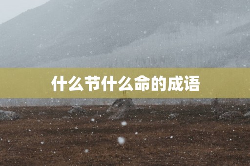什么节什么命的成语
