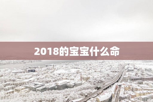2018的宝宝什么命