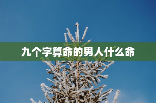 九个字算命的男人什么命