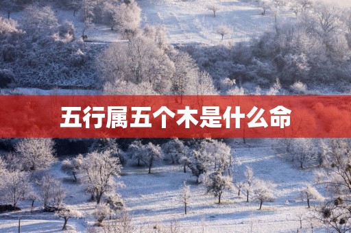 五行属五个木是什么命