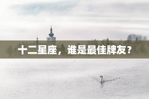 十二星座，谁是最佳牌友？