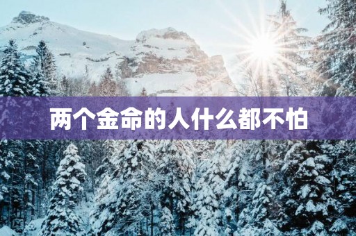 两个金命的人什么都不怕