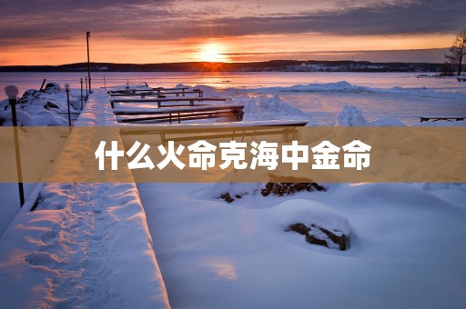 什么火命克海中金命