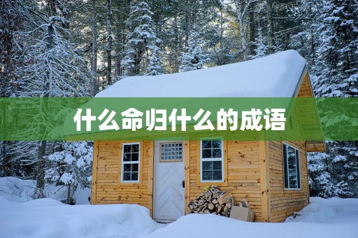 什么命归什么的成语
