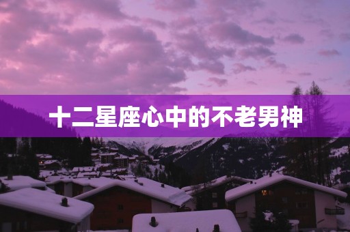 十二星座心中的不老男神