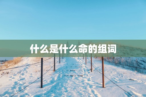 什么是什么命的组词