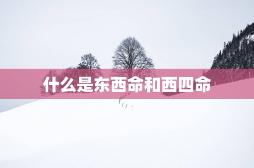 什么是东西命和西四命