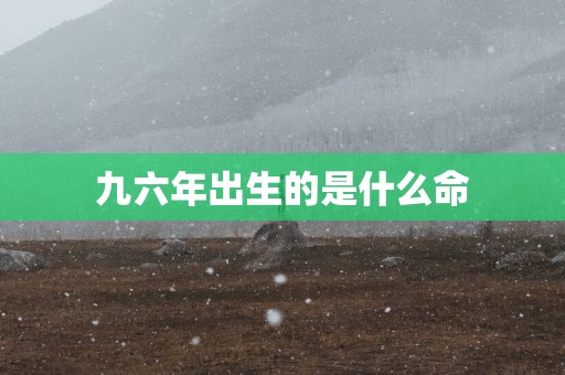 九六年出生的是什么命