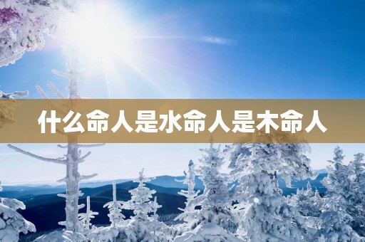 什么命人是水命人是木命人