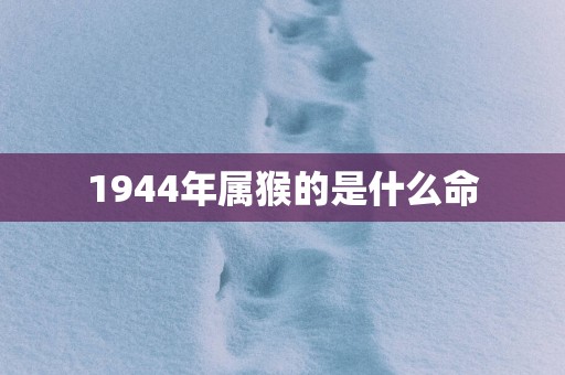 1944年属猴的是什么命