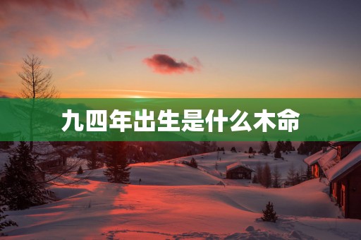 九四年出生是什么木命