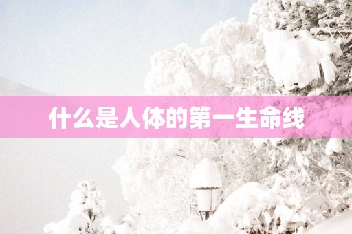 什么是人体的第一生命线