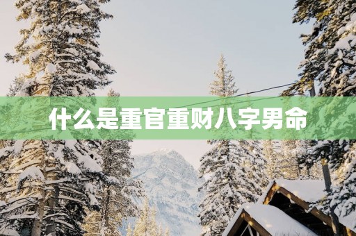 什么是重官重财八字男命