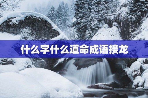 什么字什么道命成语接龙