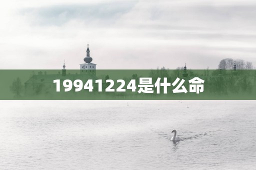 19941224是什么命
