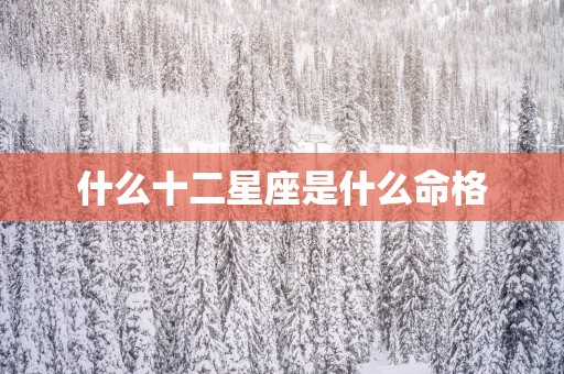 什么十二星座是什么命格