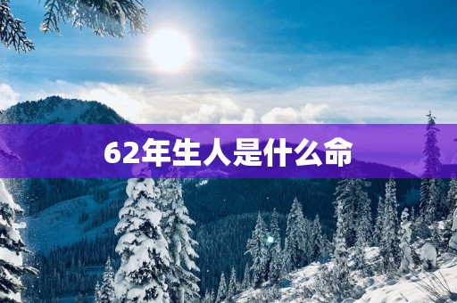 62年生人是什么命