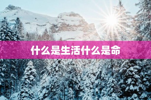 什么是生活什么是命