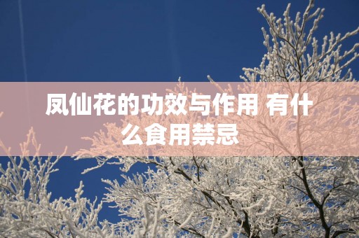 凤仙花的功效与作用 有什么食用禁忌