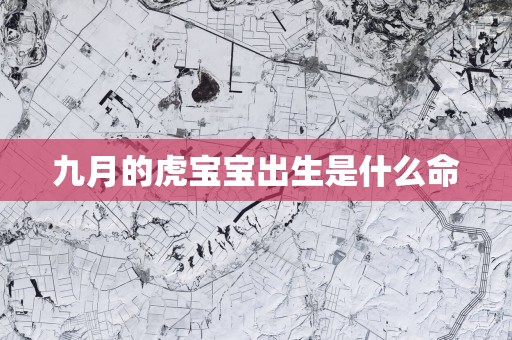 九月的虎宝宝出生是什么命