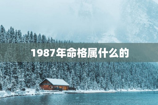 1987年命格属什么的