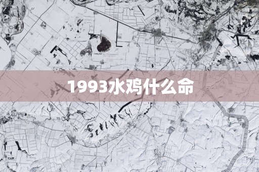 1993水鸡什么命