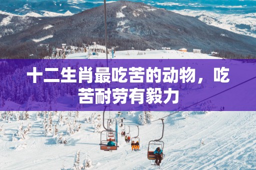 十二生肖最吃苦的动物，吃苦耐劳有毅力