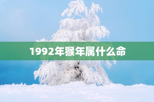 1992年猴年属什么命 1992年猴年属什么命
