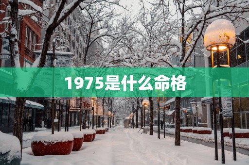 1975是什么命格