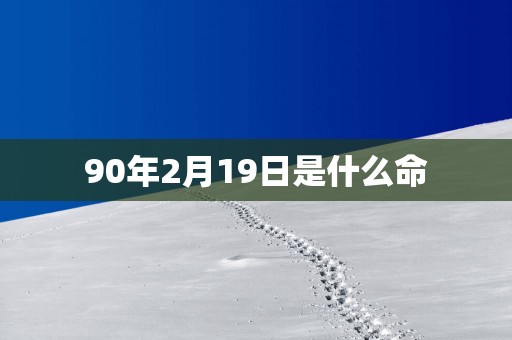 90年2月19日是什么命