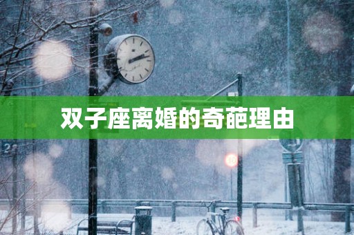 双子座离婚的奇葩理由