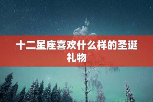 十二星座喜欢什么样的圣诞礼物