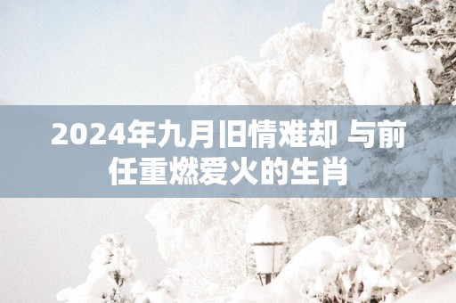 2025年九月旧情难却 与前任重燃爱火的生肖