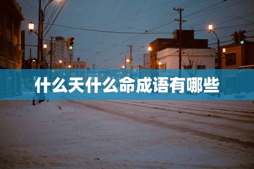 什么天什么命成语有哪些