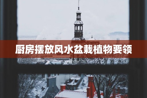厨房摆放风水盆栽植物要领