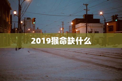 2019猴命缺什么