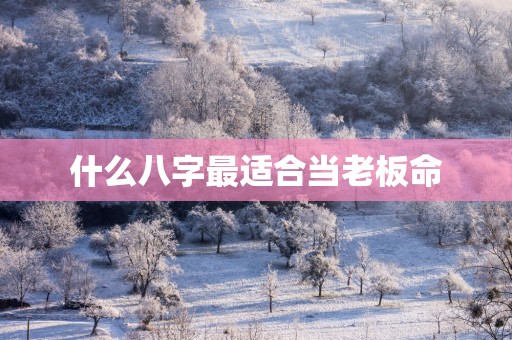 什么八字最适合当老板命