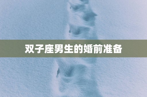 双子座男生的婚前准备