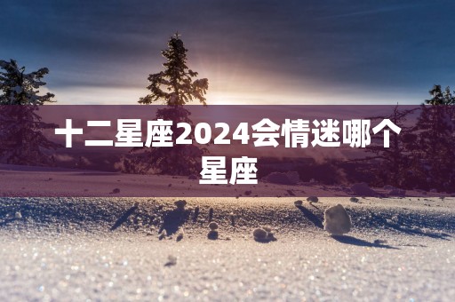 十二星座2025会情迷哪个星座