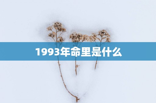 1993年命里是什么