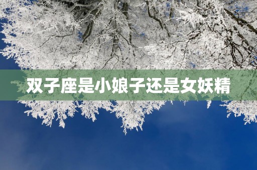 双子座是小娘子还是女妖精