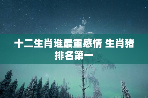 十二生肖谁最重感情 生肖猪排名第一