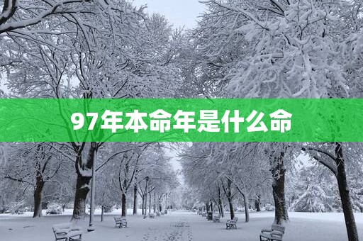 97年本命年是什么命