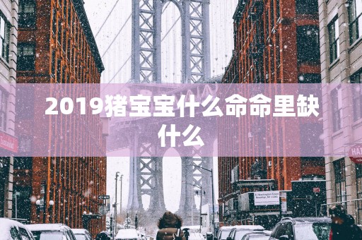 2019猪宝宝什么命命里缺什么