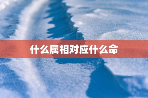 什么属相对应什么命