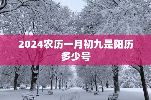 2025农历一月初九是阳历多少号