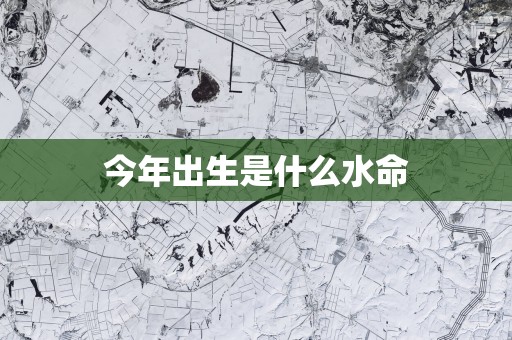 今年出生是什么水命