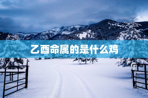 乙酉命属的是什么鸡